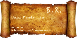 Baig Kamélia névjegykártya
